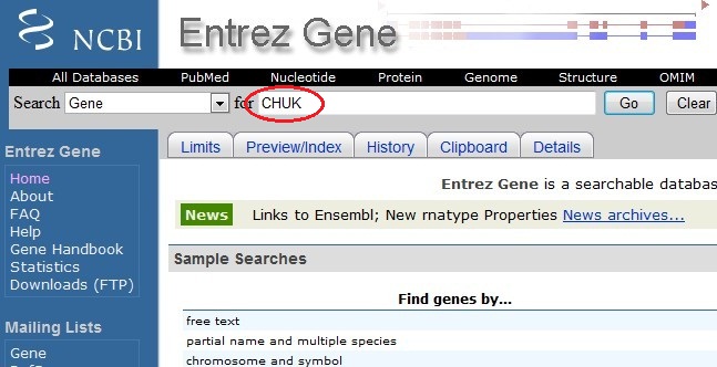 GeneID Search